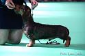 Crufts2011_2 928